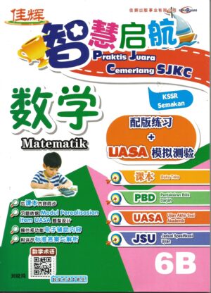 智慧启航数学 6b